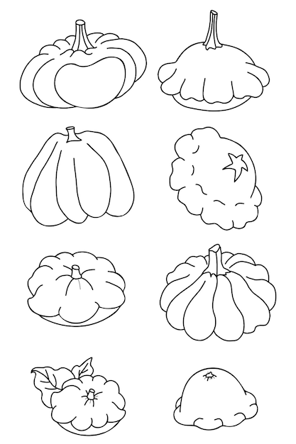 Set of vegetables Pumpkin and pattisonlinear hand drawing Outline Vector