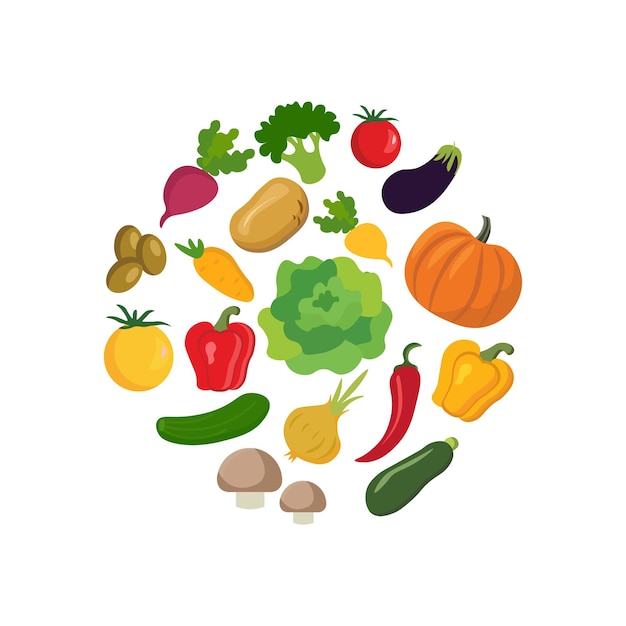 Set of vegetables. Vector illustration