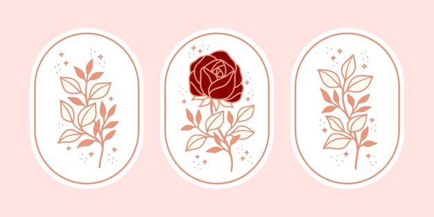 Set of vintage botanical pink rose flower and leaf branch element for beauty brand or floral feminine logo