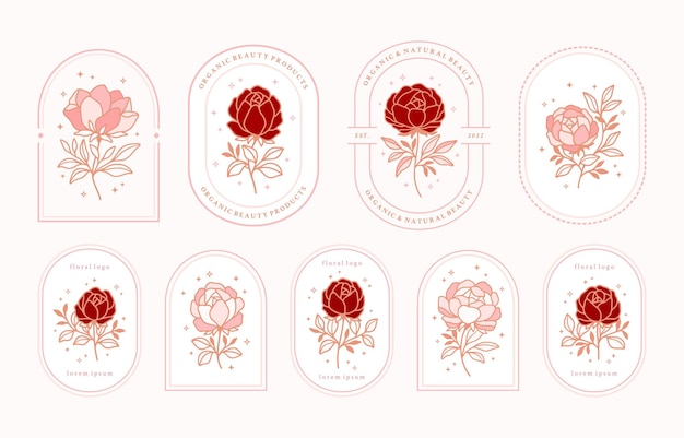 Set of vintage feminine beauty rose flower logo elements with frame for women