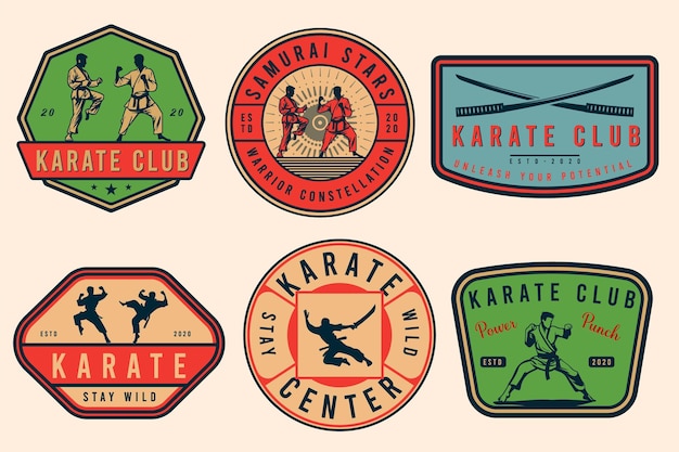 Set of vintage karate or martial arts logo emblems icons and labels Monochrome style