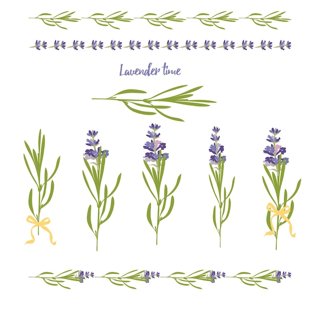 Set violet Lavender beautiful floral elements in flat watercolor style isolated on white background for decorative design wedding card invitation travel flayer Botanical illustration