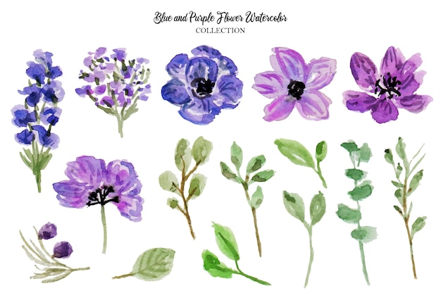 a set of violet and purple flower watercolor