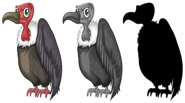 Set of vulture character design