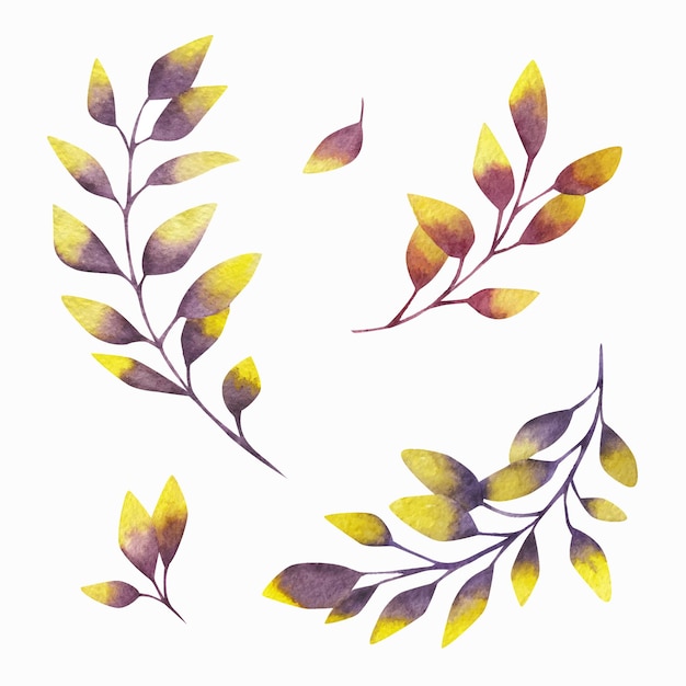 Set of watercolor abstract leaves