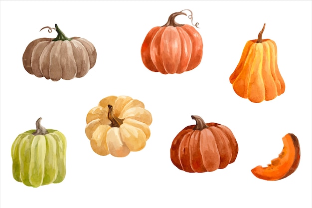 Set of watercolor autumn pumpkins