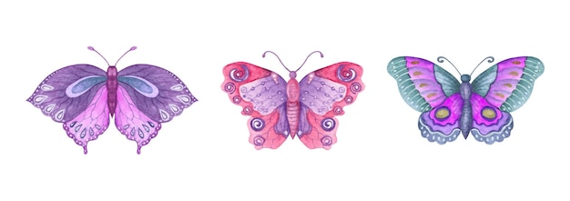 Set of watercolor beautiful butterfly collection