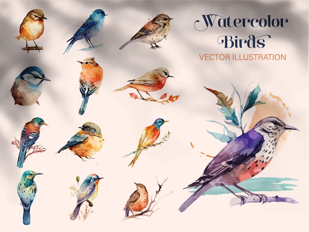 Set of watercolor birds and sparrows vector illustrationOn branches decorated by leaves and flowers