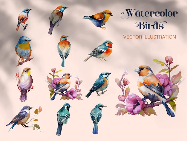 Set of watercolor birds and sparrows vector illustrationOn branches decorated by leaves and flowers