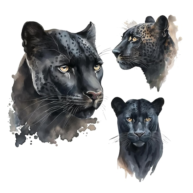 Set of watercolor black panther