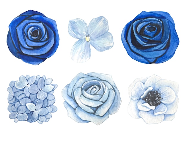 Set of watercolor blue flower buds