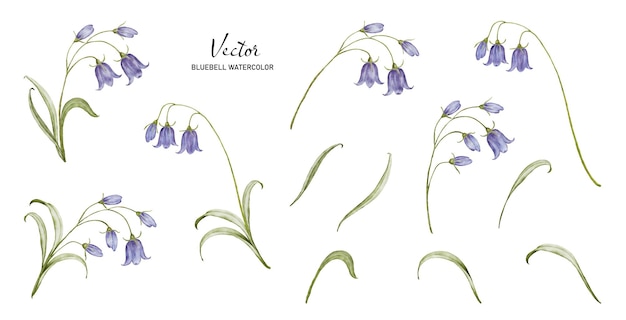 Vector set of watercolor bouquets with bluebell flower elements