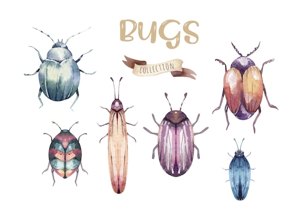 Set of watercolor bright beetles bugs fly and bees Colorful cartoon buttle and bug Insect set