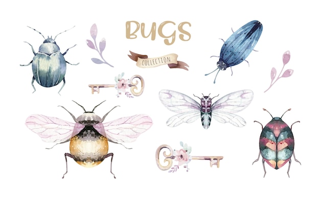 Set of watercolor bright beetles bugs fly and bees Isolated colorful cartoon buttle and bug Insect