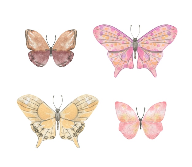 Set of watercolor butterflies in pink color