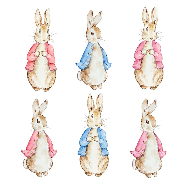 Set of Watercolor cute Peter Rabbits in red and blue jacket