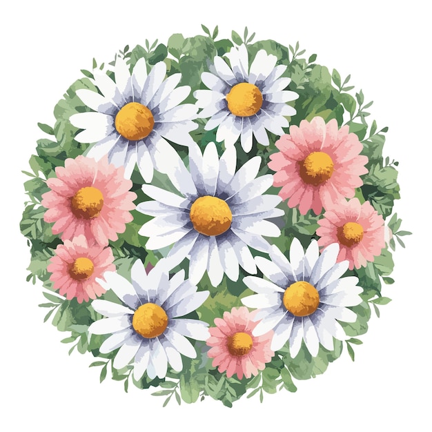 Set of watercolor daisy flowers clipart drawing of a flower wreath with the words daisy on it