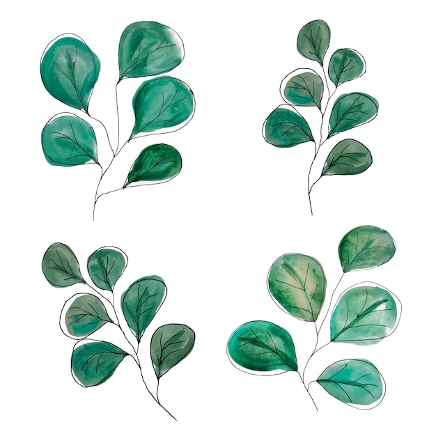 Set of watercolor flower illustrations collection of branches of green leaves