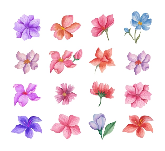 Set of watercolor flowers collection