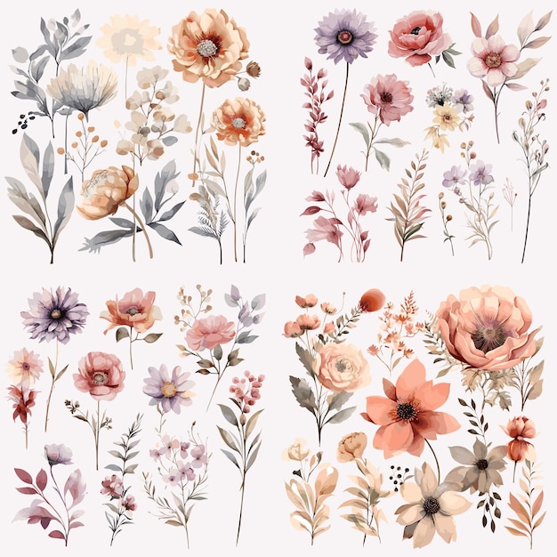 Set of watercolor Flowers Floral Boho style Wild Flowers isolated on white background