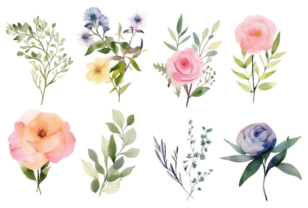 Vector a set of watercolor flowers and leaves clipart isolated on a white background