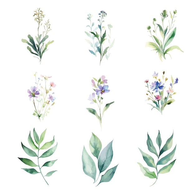 A set of watercolor flowers and leaves.