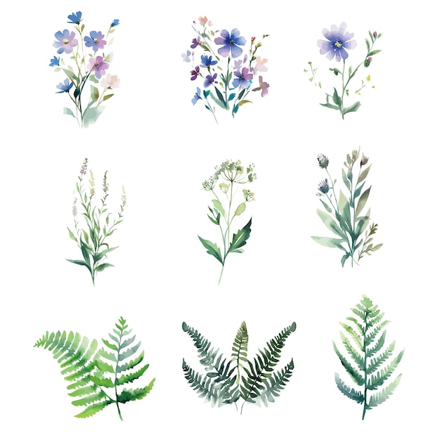 A set of watercolor flowers on a white background