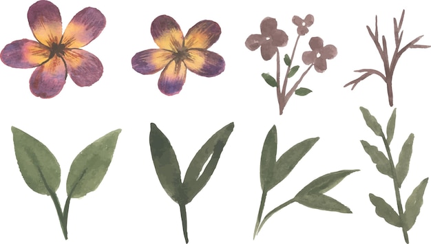 Vector set of watercolor foliage hand drawn leaves and flowers with bouquet elements isolated