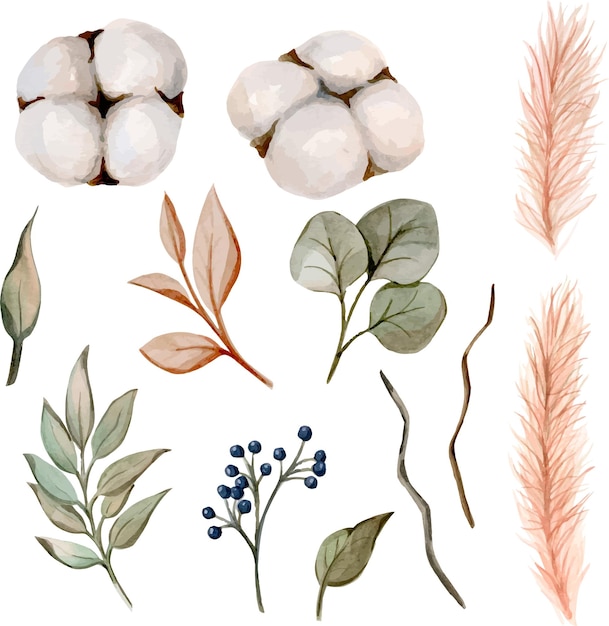 Set of watercolor illustrations with cotton berries and leaves