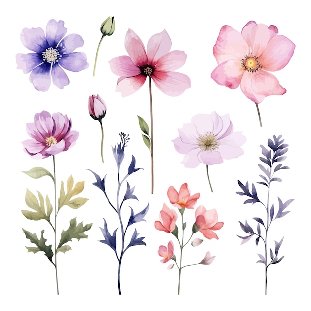 Set of watercolor Jarul Flower clipart white background