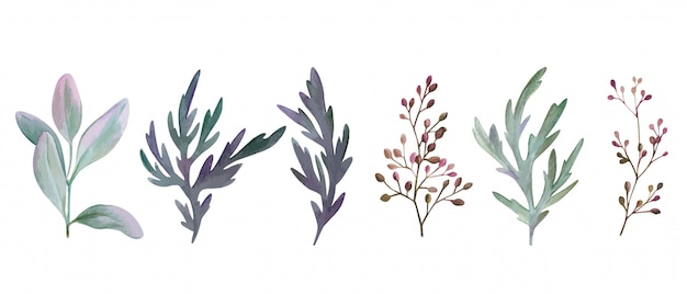 Set of watercolor leaves and branches, hand drawn greenery collection