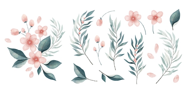 Set of watercolor leaves and flowers