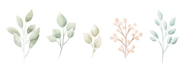 Set of watercolor leaves