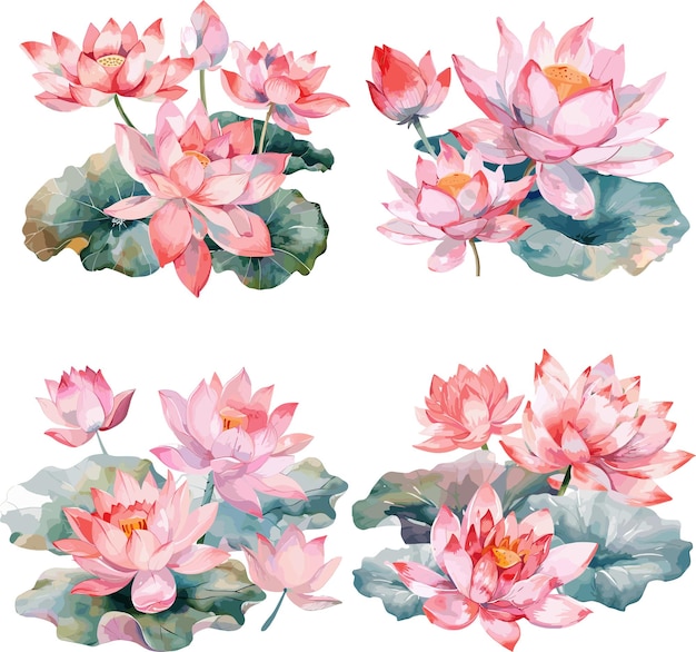 Set of watercolor Lotus Flower isolated on white background