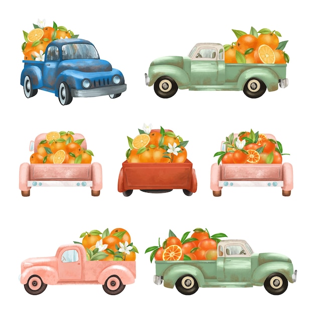 Vector set of watercolor old trucks with oranges and tangerines isolated illustration on white background