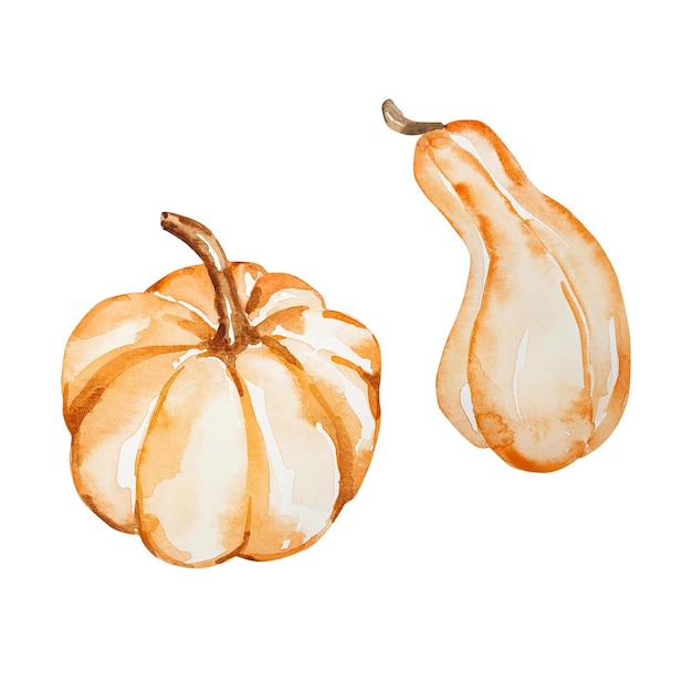 Set of watercolor pastel autumn pumpkins to create designs