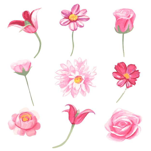 Set of watercolor pink flowers