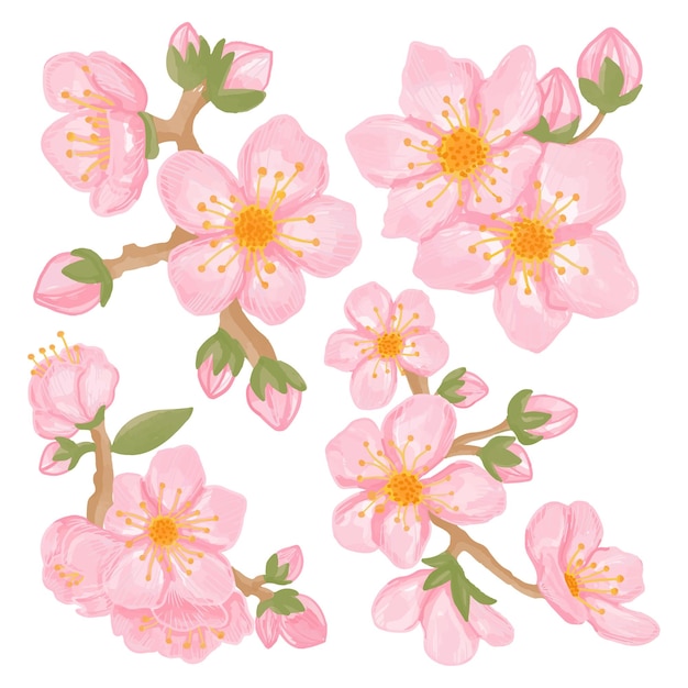 Set of Watercolor sakura flower Pink flora clipart