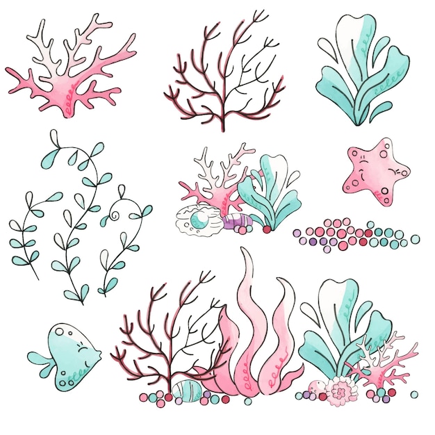 Set of watercolor seaweed and corals isolated on white