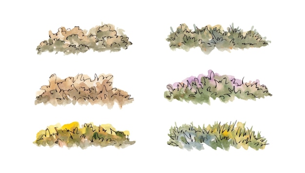 Set of watercolor spring grass illustration collection