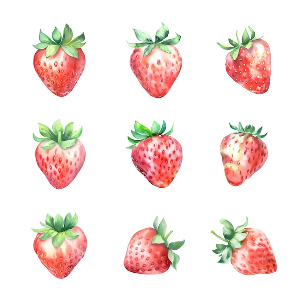 Set of watercolor strawberries Hand drawn illustration isolated on white background