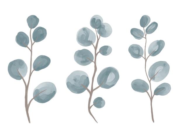 A set of watercolor twigs of roundleaved silver eucalyptus