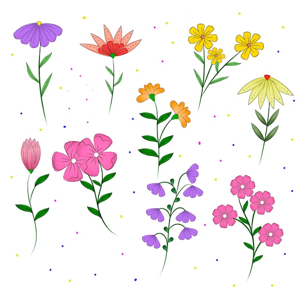 Set of watercolor wildflowers