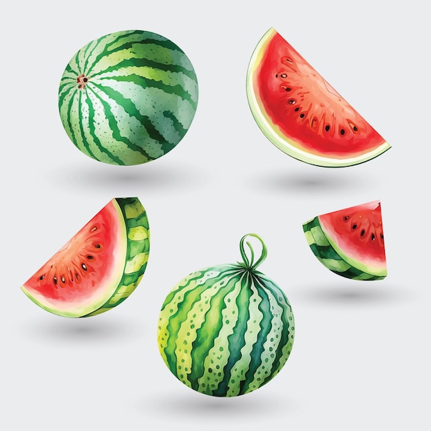 Set of watermelon watercolor paint