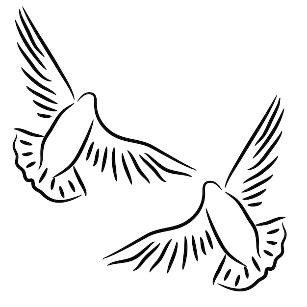 Set of white vector doves