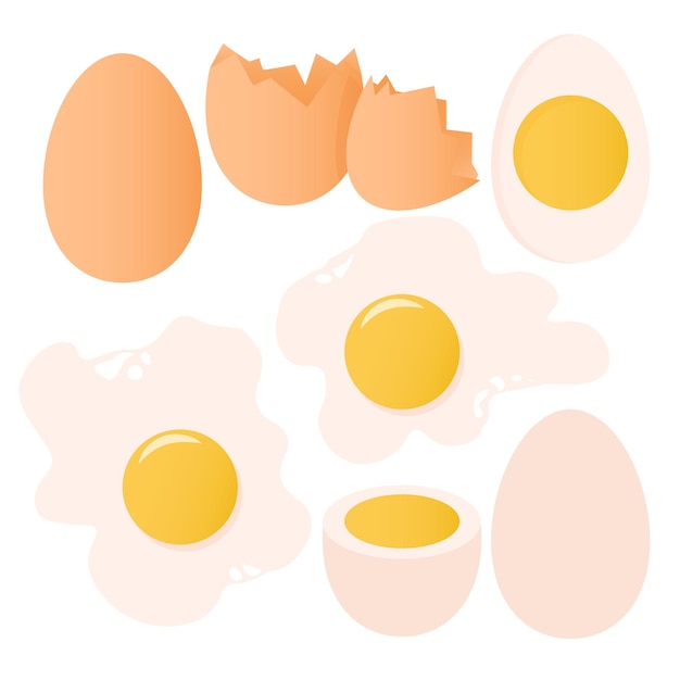 Set of whole egg raw egg and scrambled eggs