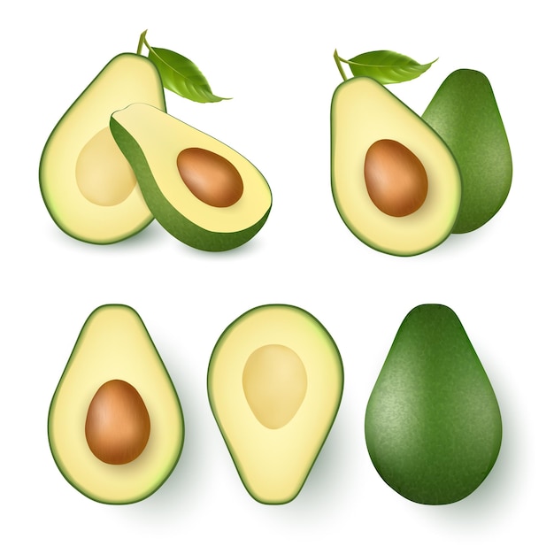 Set of whole and half avocado isolated on white background Organic eco food realistic Vector drawing