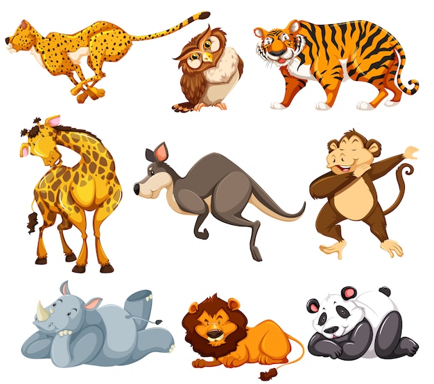 Set of wild animals