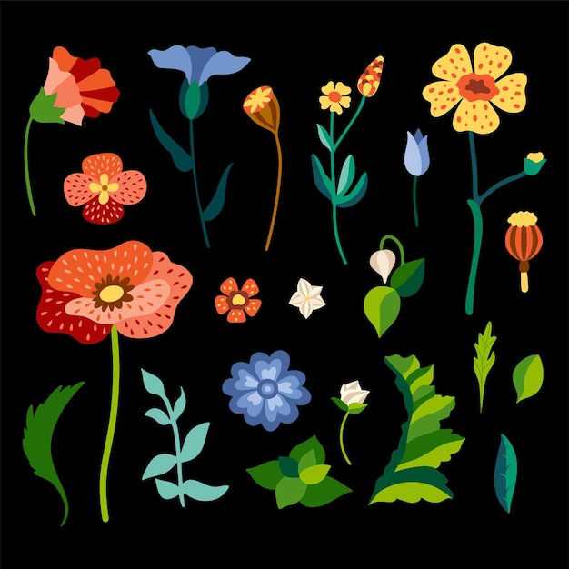 Set of wild flowers in flat stylized style.