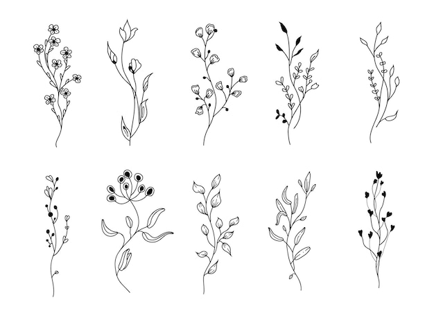 Set of wildflowers. Floral branches.